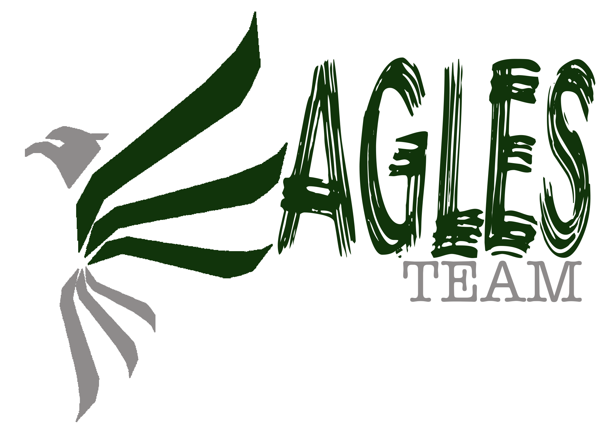 Eagles Team Logo Eagles Team Logo