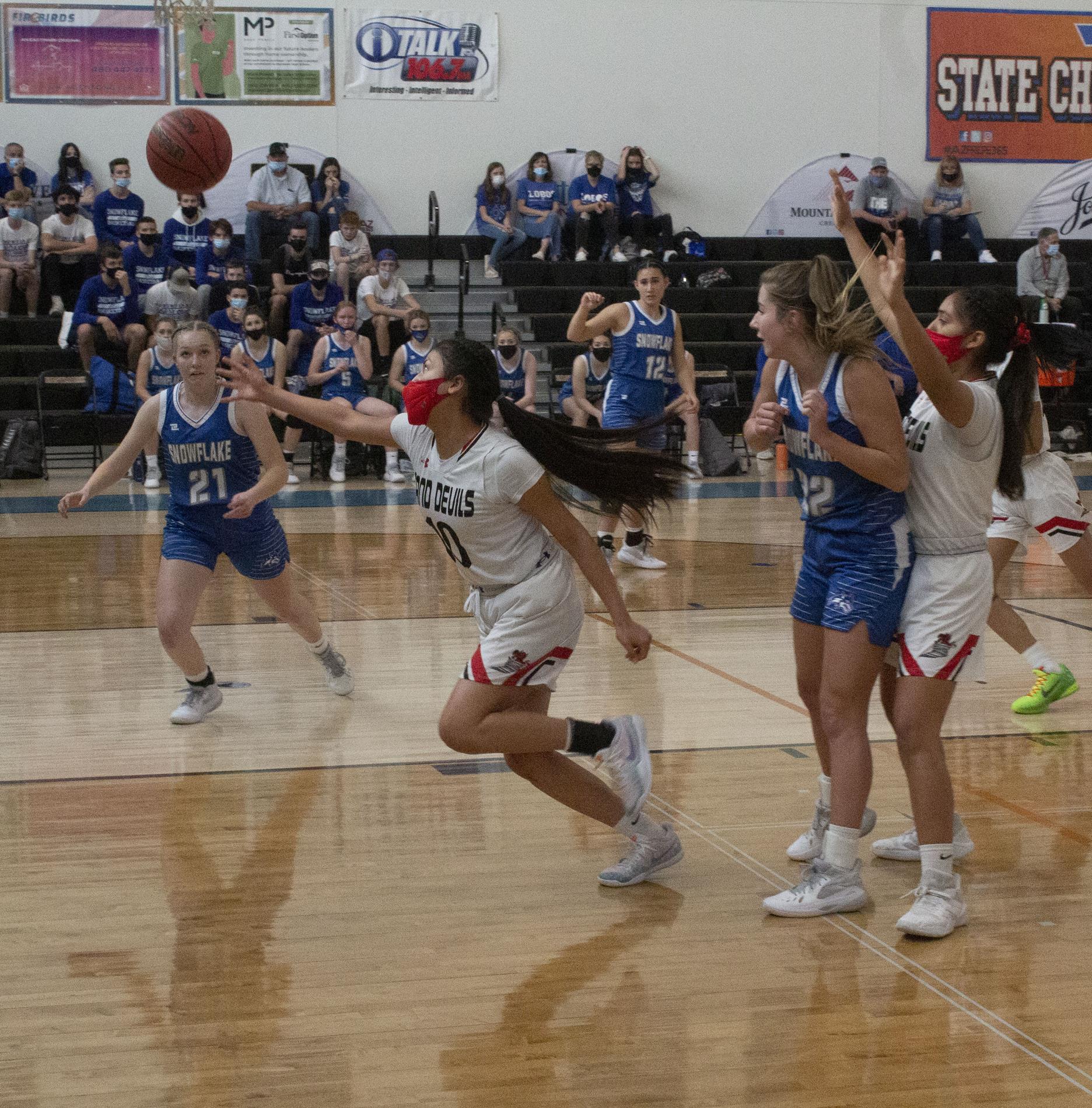 Neve chasing down a basketball