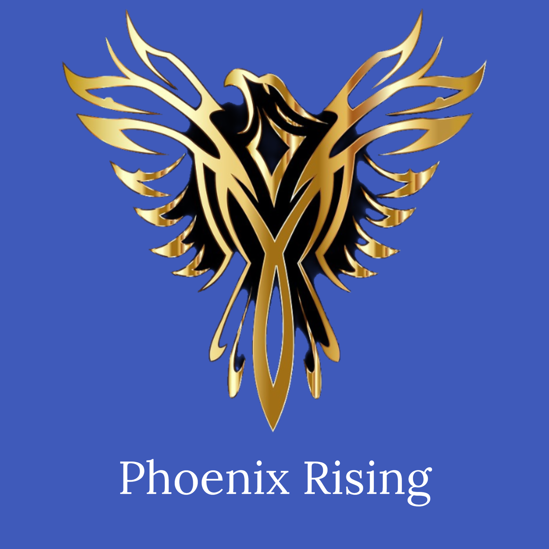 Phoenix Program The Pathway 6 8