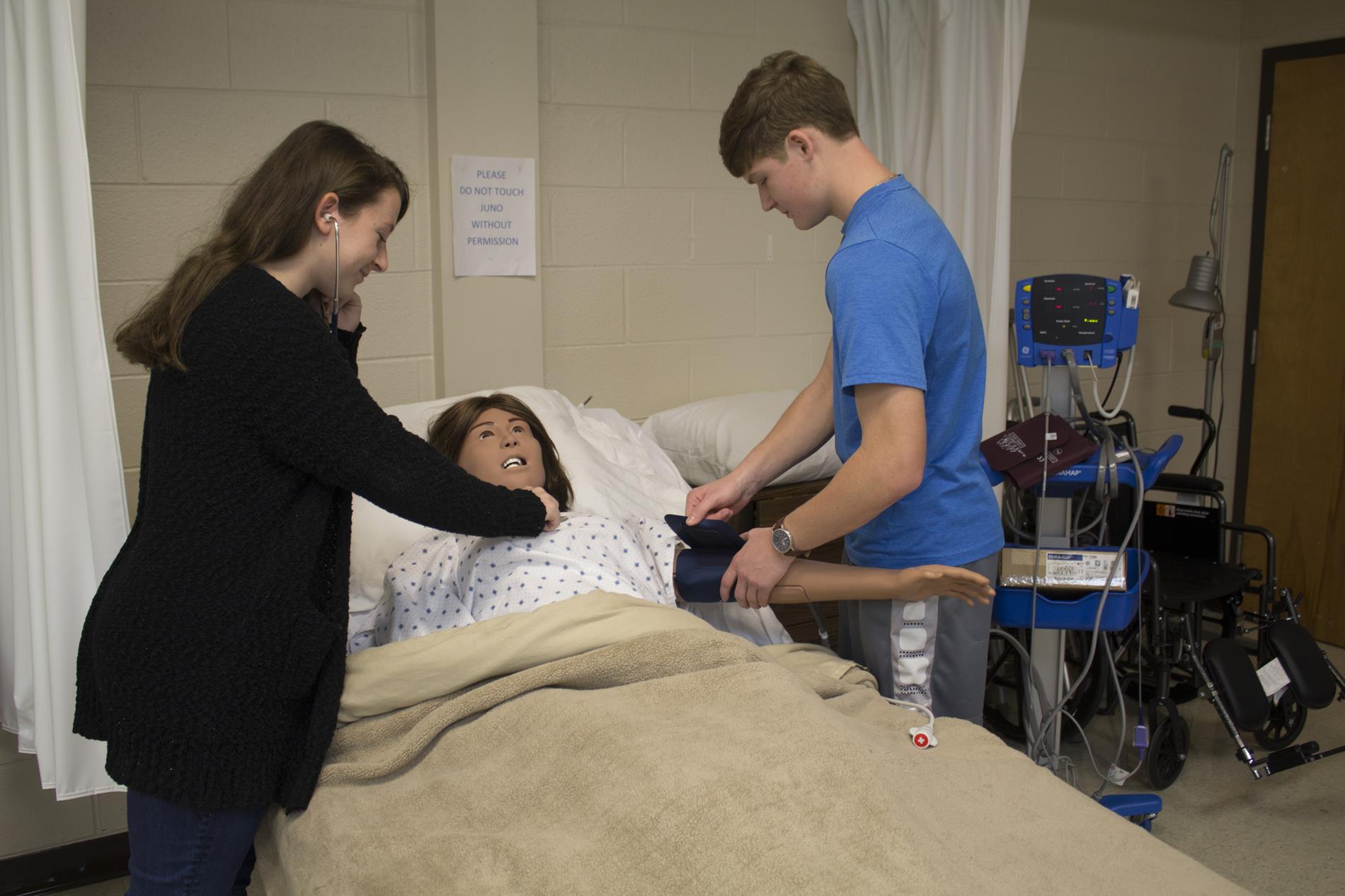 Two students take blood pressure of a mannequin Two students take blood pressure of a mannequin