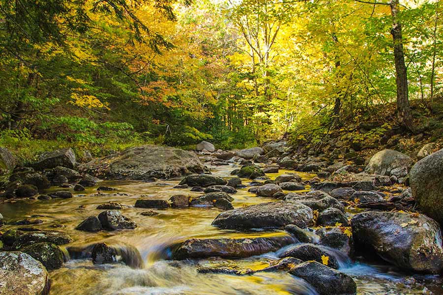 Great north woods creek