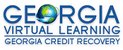 Georgia Virtual Learning
