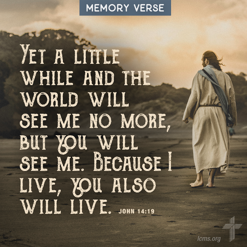 John 14:19