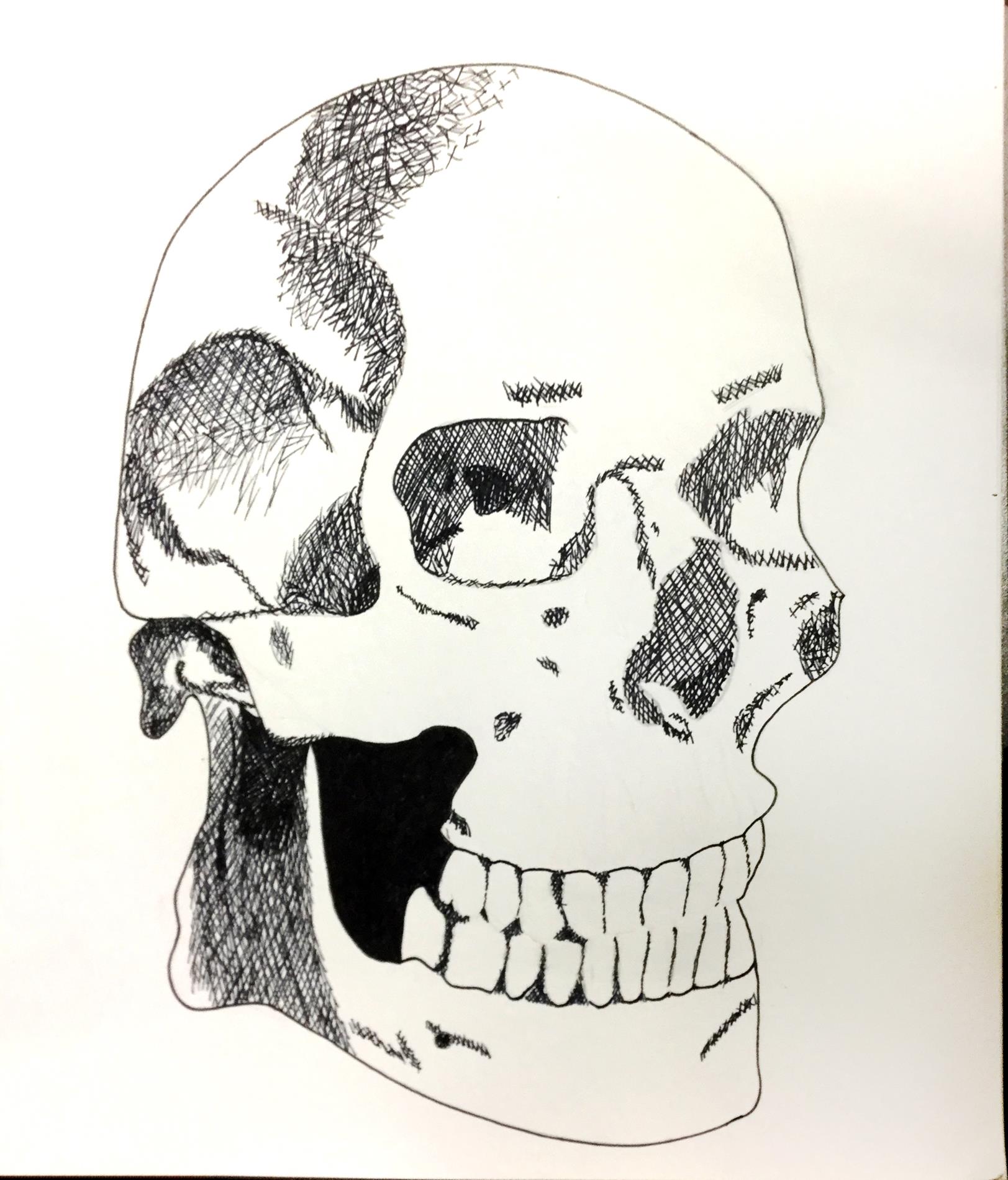34) Raina Bryson - Skull - Pen - 7th Grade 34) Raina Bryson - Skull - Pen - 7th Grade