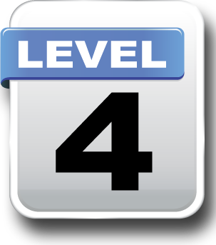 Level 4