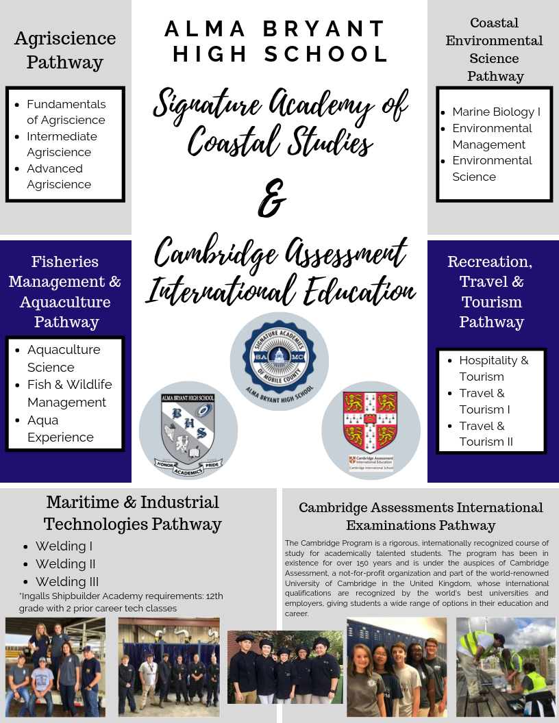 Sig Academy Flyer Sig Academy Flyer