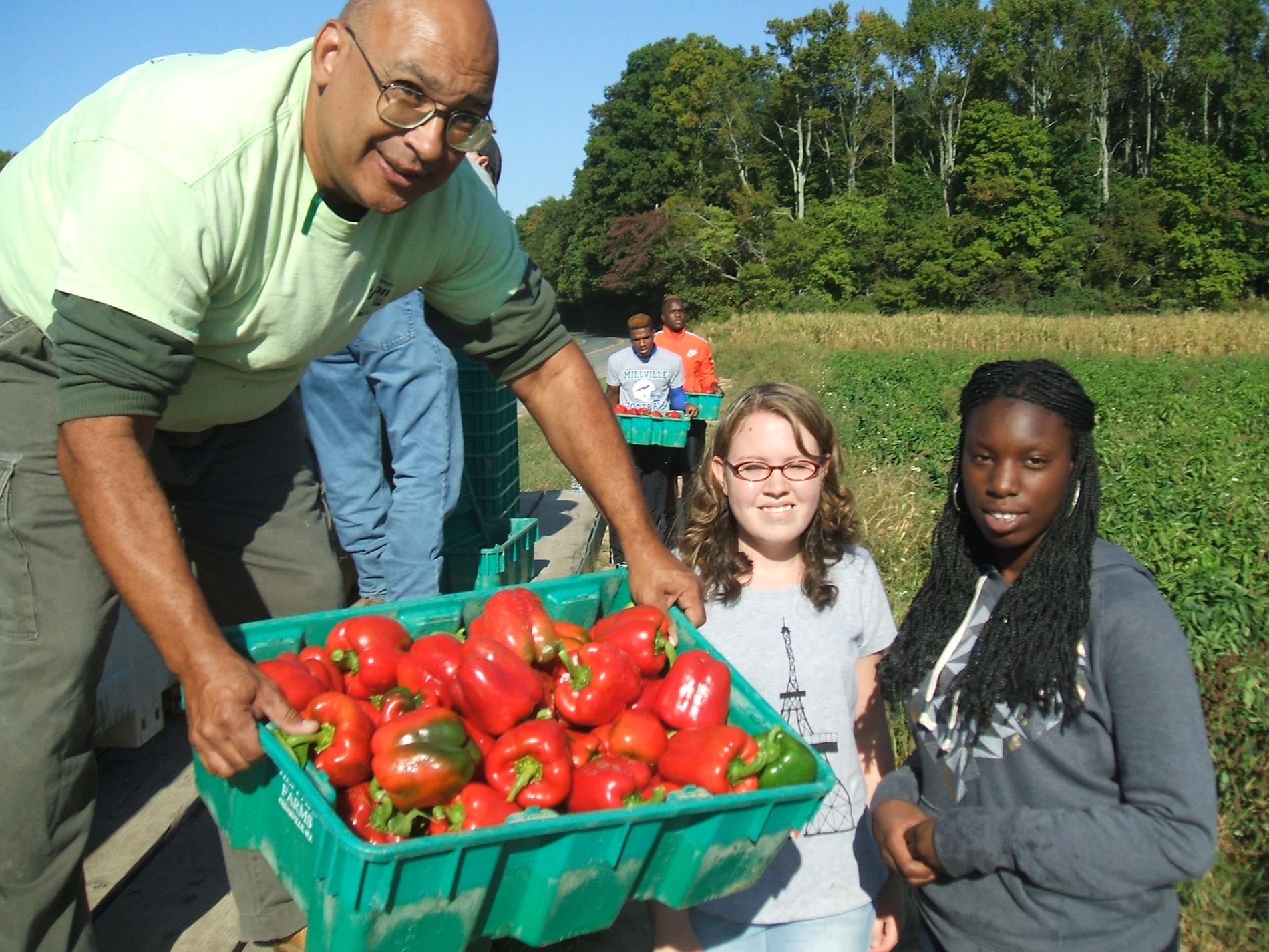 Gleaning 2