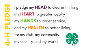 4-H 4-H