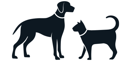 Dog and Cat Dog and Cat