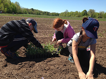 Philadelphia Farm Planting