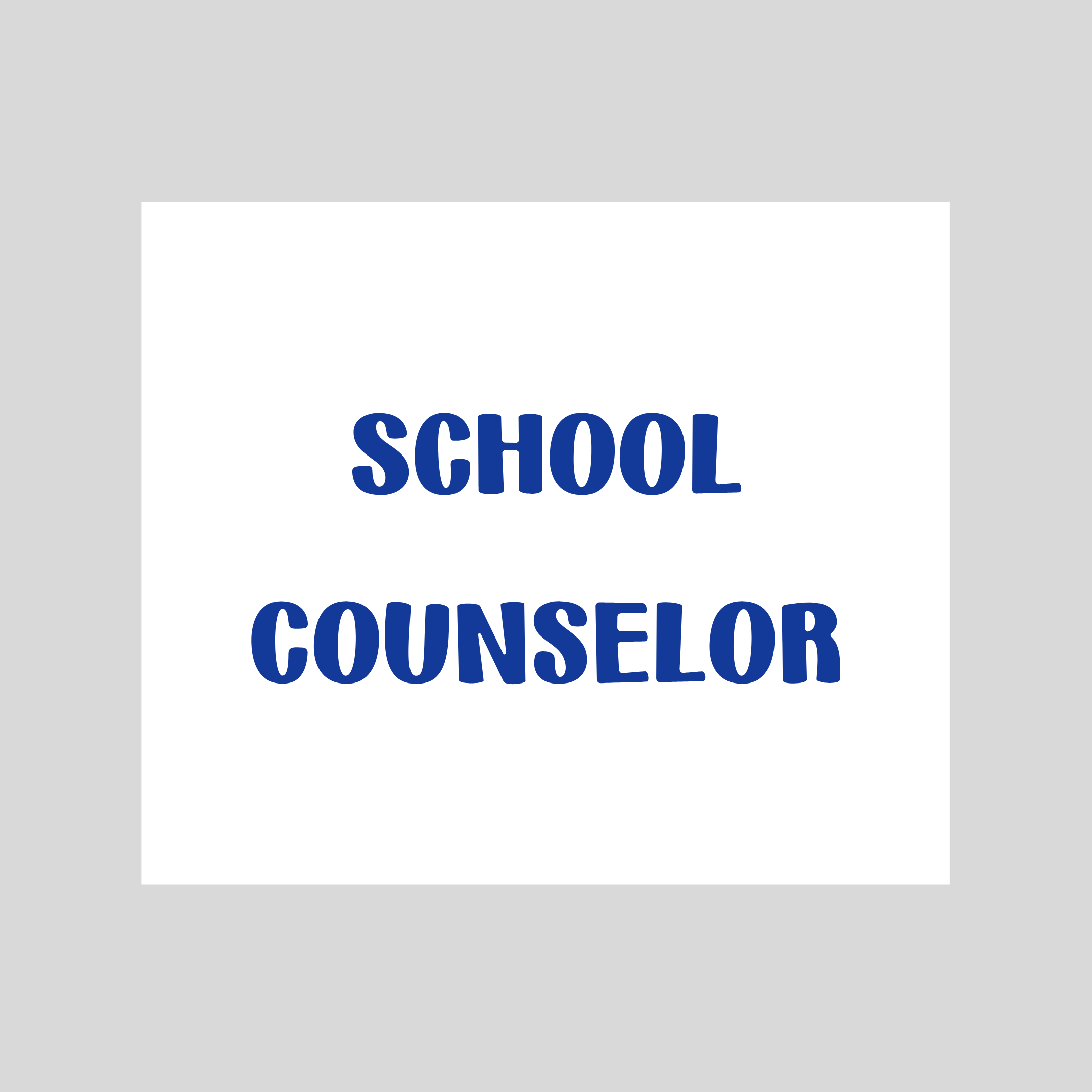 School Counselor