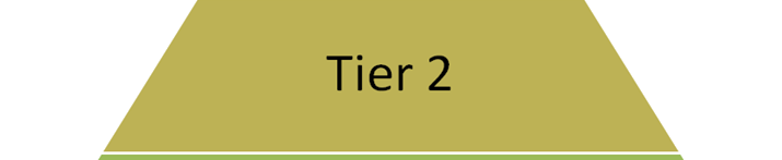 Tier 2 Tier 2
