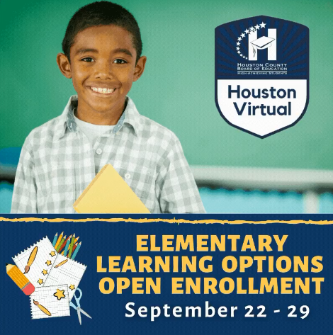 Virtual Learning
