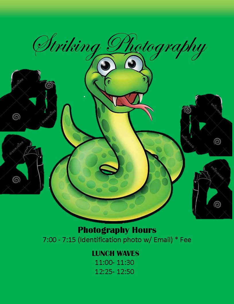 Striking Photography Striking Photography
