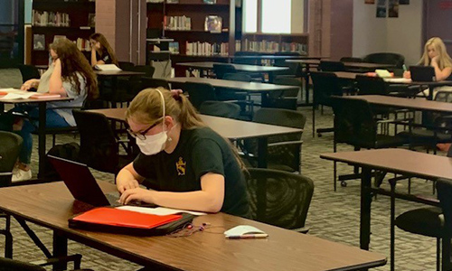 students using library