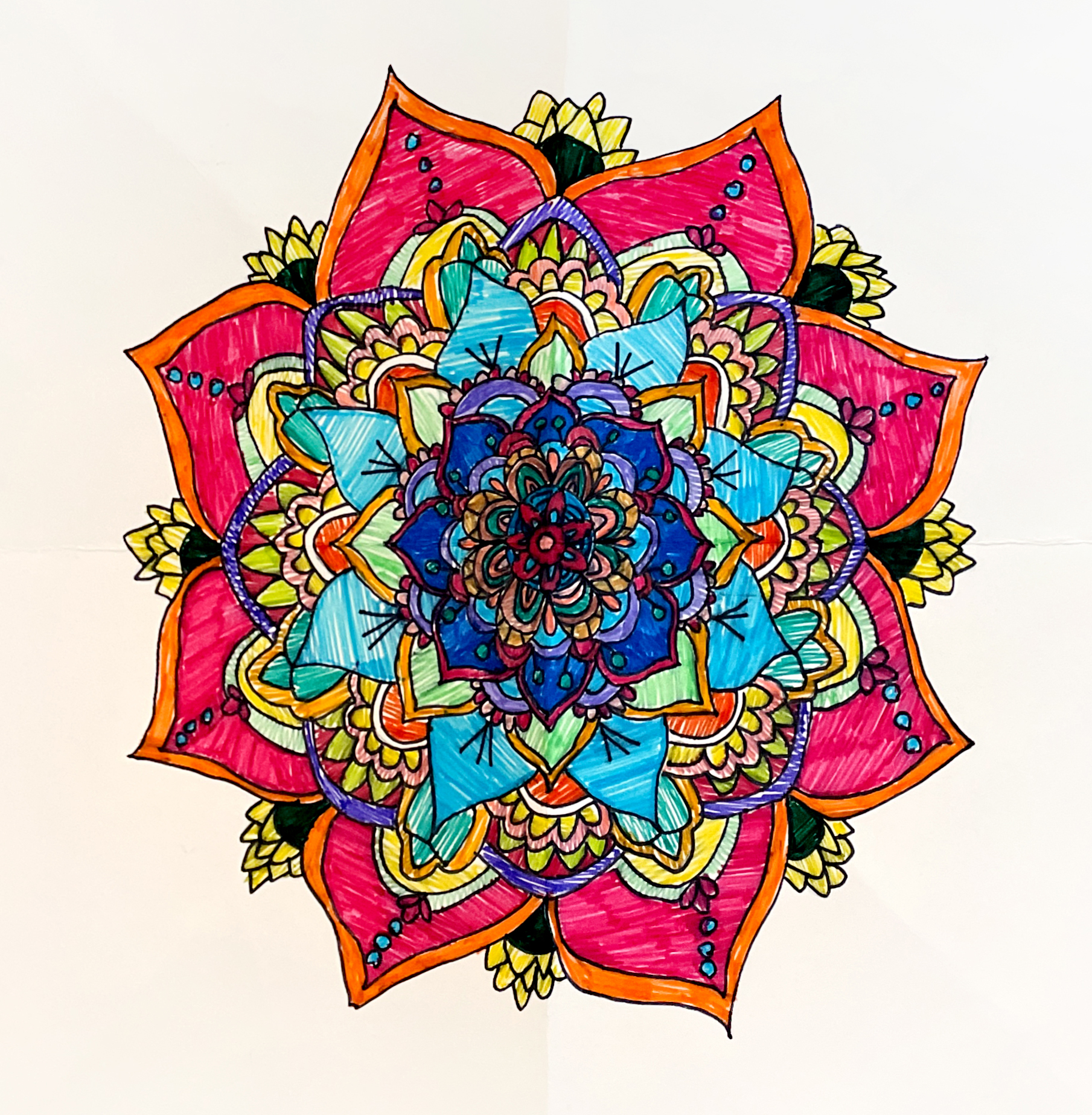 1) Addisyn Stone - Majestic Blooms - Marker - 6th Grade 1) Addisyn Stone - Majestic Blooms - Marker - 6th Grade