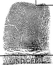 Fingerprinting Image