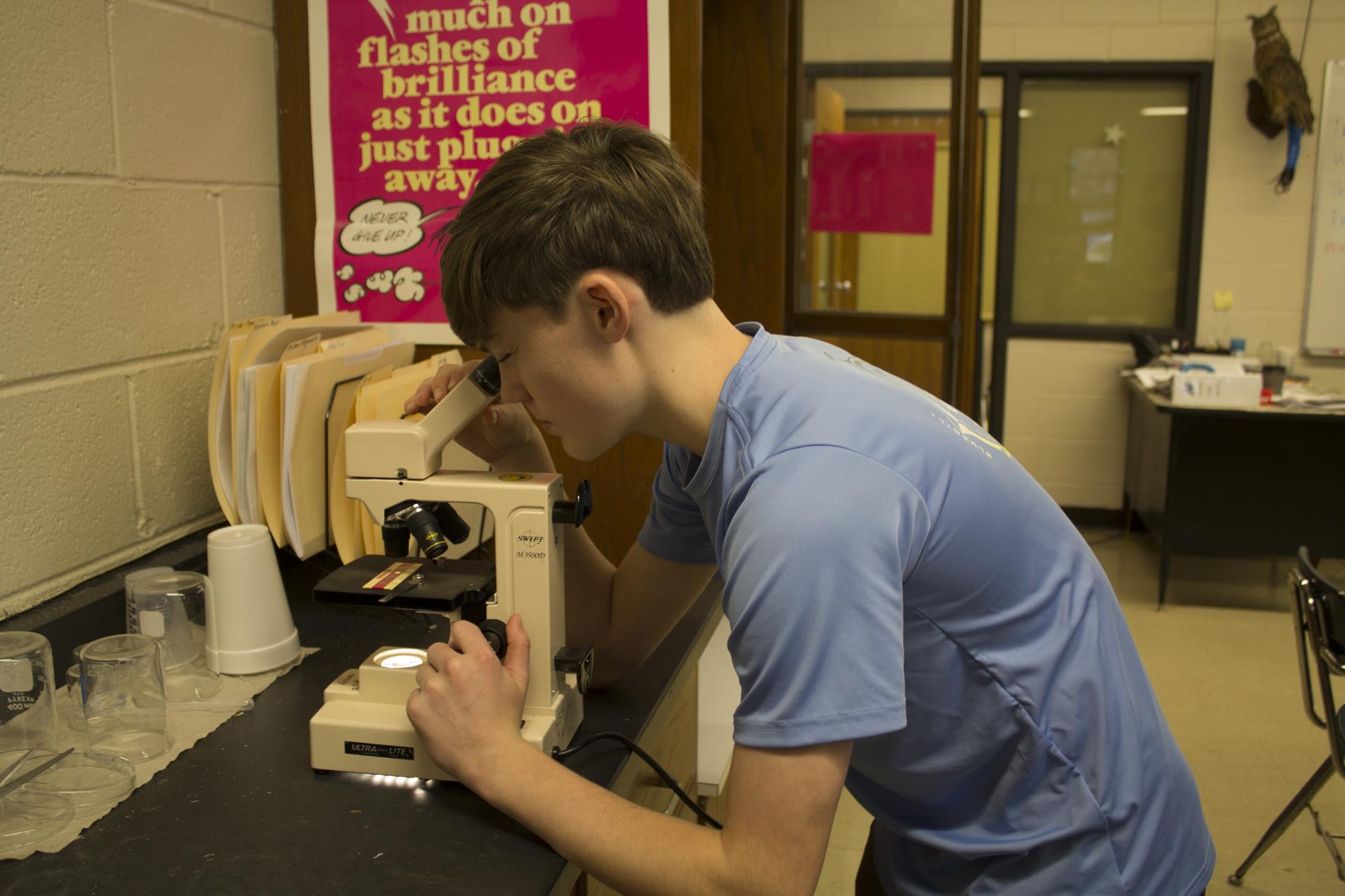 A student looks through a microscope in Biology class A student looks through a microscope in Biology class