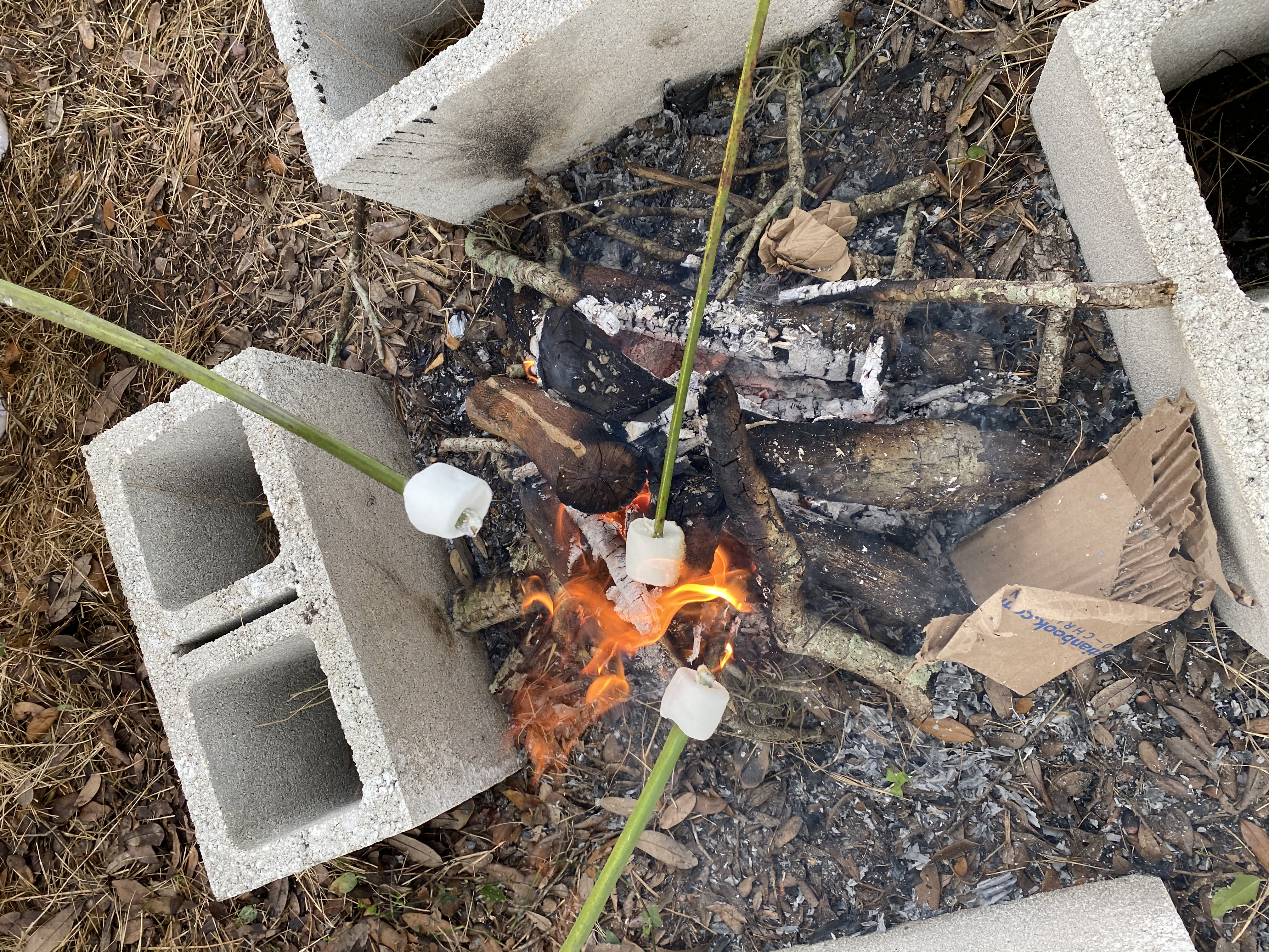 Campfire with marshmallows on palm fronds.