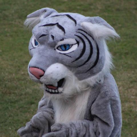 wildcat mascot