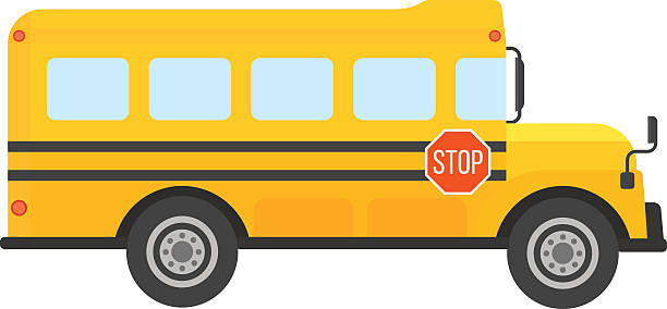 bus bus