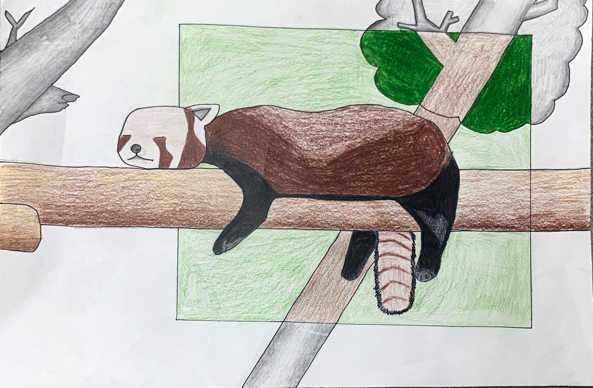 38) Olivia Goolsby - The Life Of The Planet - Colored Pencil - 6th grade 38) Olivia Goolsby - The Life Of The Planet - Colored Pencil - 6th grade
