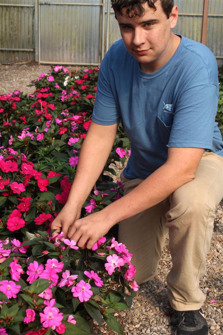 Student planting flowers