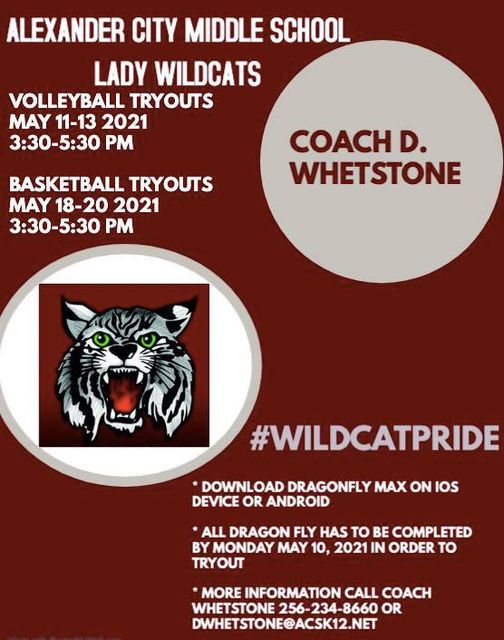 wildcat flyer