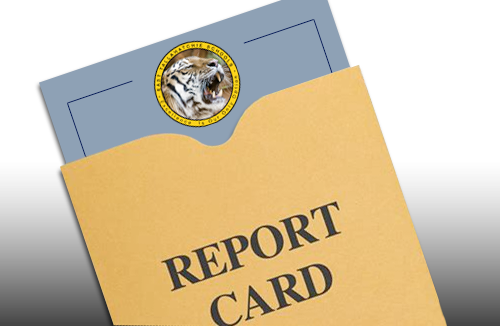 Report Cards Delivered