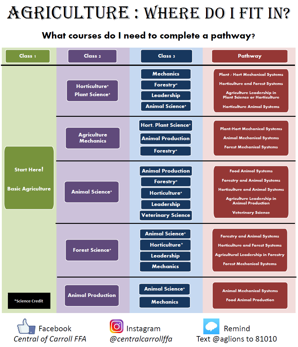 Pathway Poster