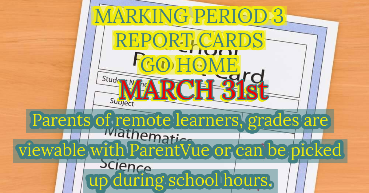 Mark 2 Report Cards Mark 2 Report Cards