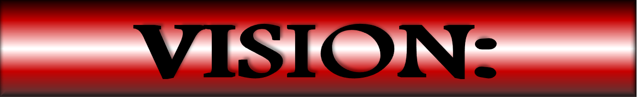 Vision Vision