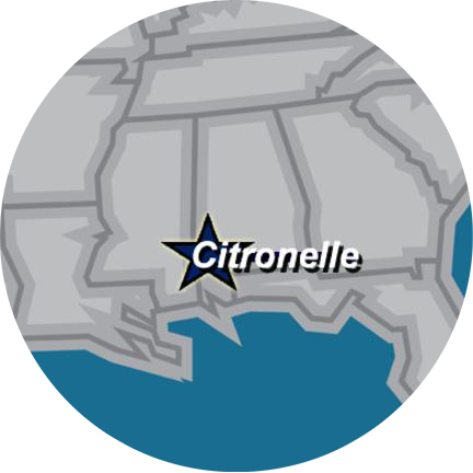 Citronelle