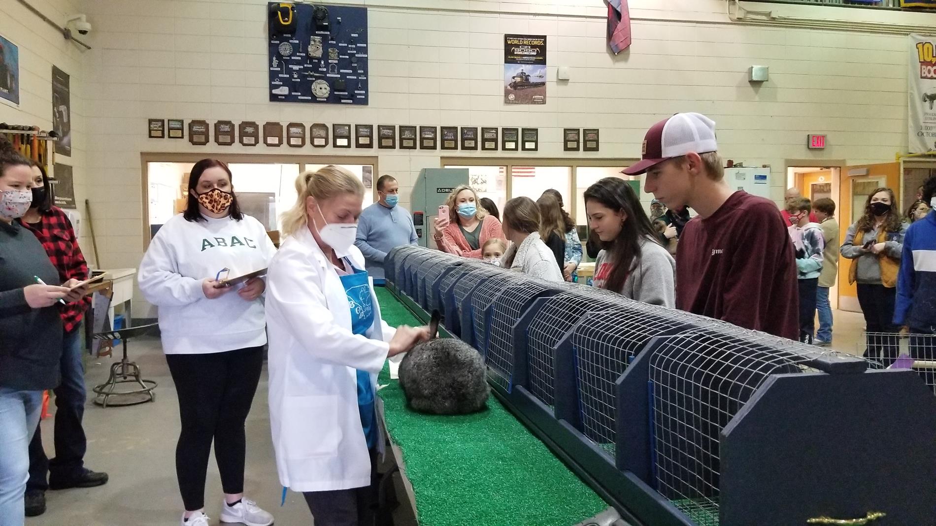 Several students look at a rabbit in front of a row of cages at the FFA rabbit show