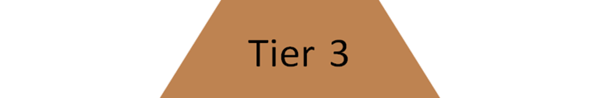 Tier 3 Tier 3