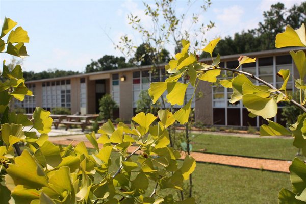 Students love the 4 H and Junior Master Gardening Activities at Castlen