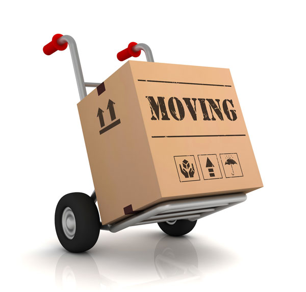 moving box moving box