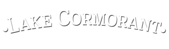 Lake Cormorant Elementary School