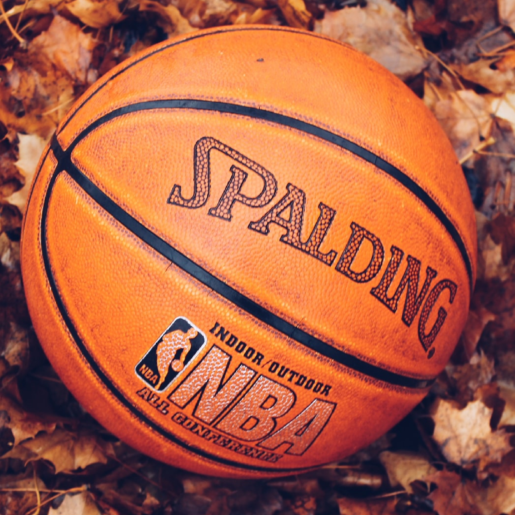 basketball in leaves basketball in leaves