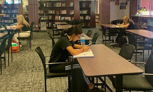students study in library