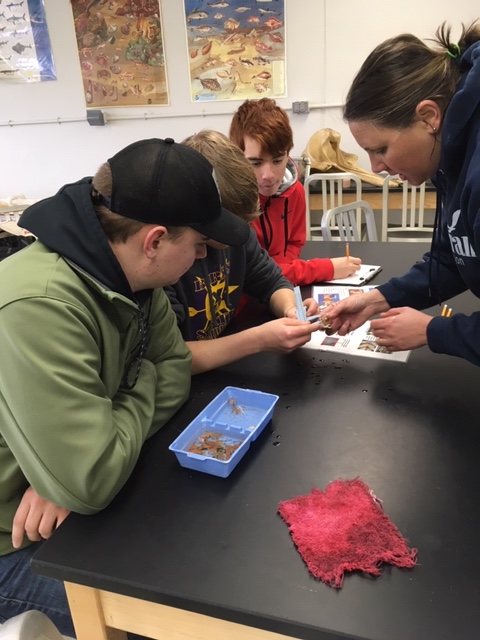 Students completing a lab at Hatfield Marine Science Center