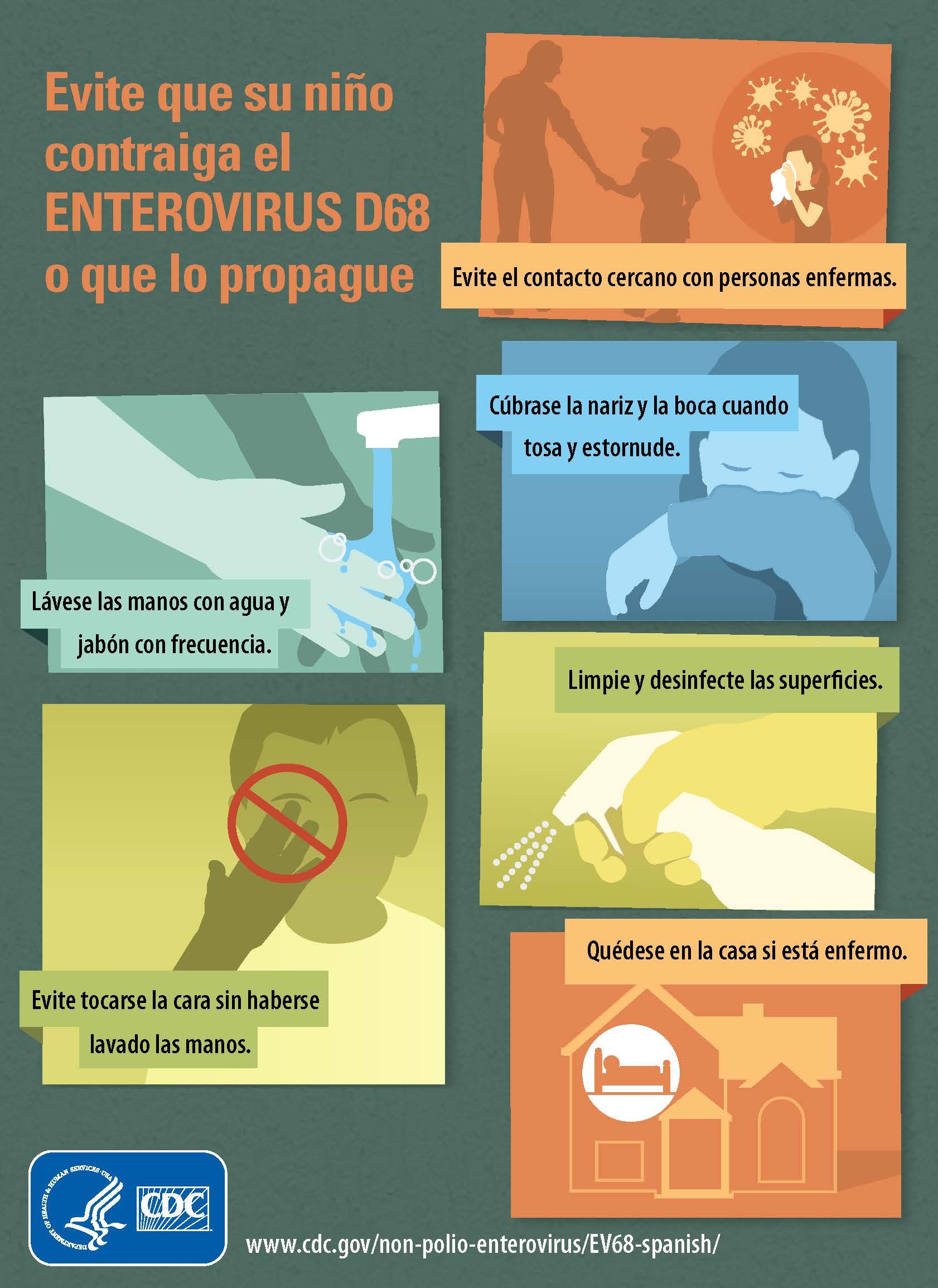Enterovirus D68 Spanish Infographic
