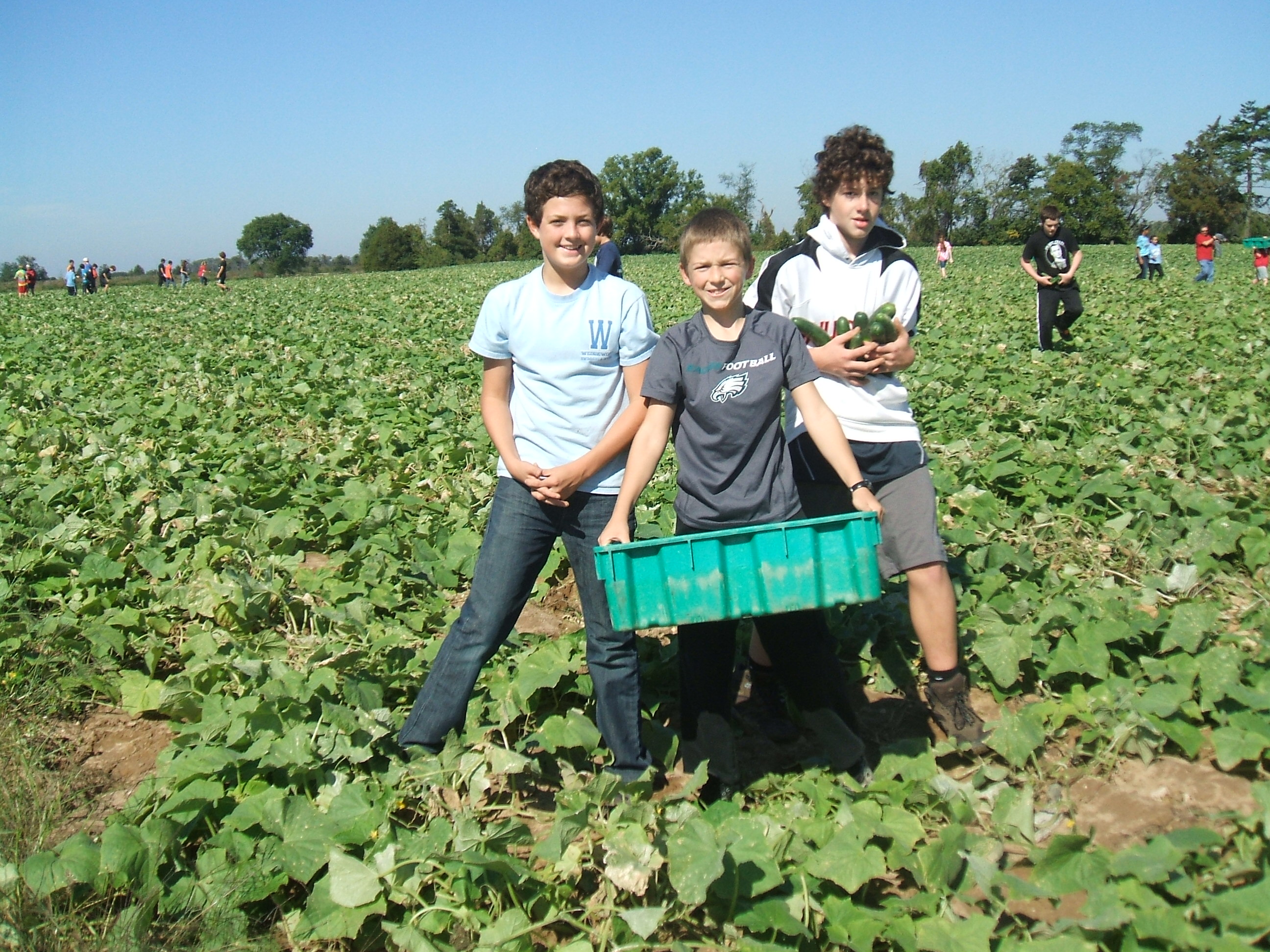 Gleaning kids1