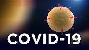 covid virus cell