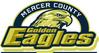 Mercer County School District #404