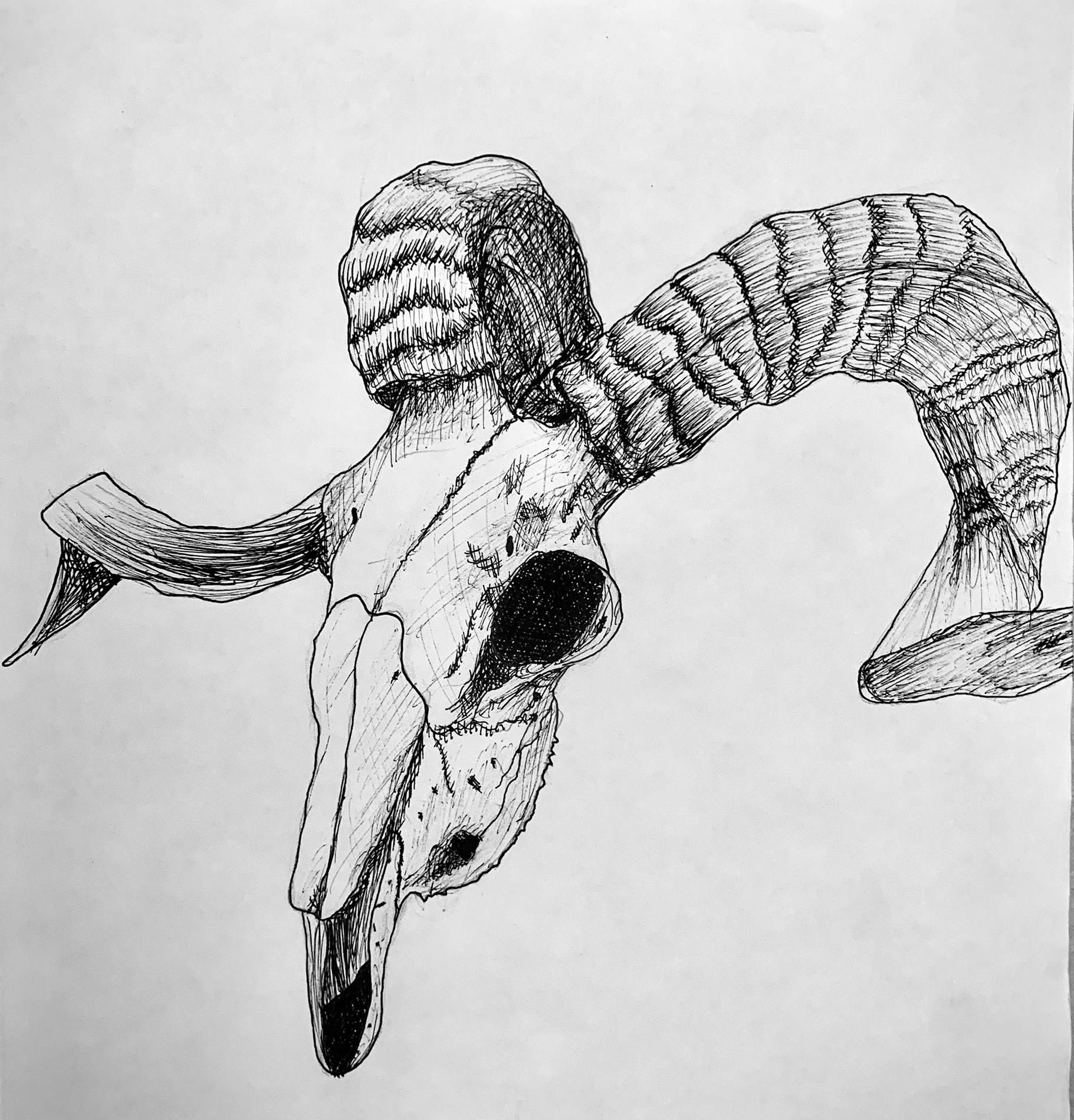 37) Sophia Wratten - Crossed Ram Skull - Pen -8th Grade 37) Sophia Wratten - Crossed Ram Skull - Pen -8th Grade