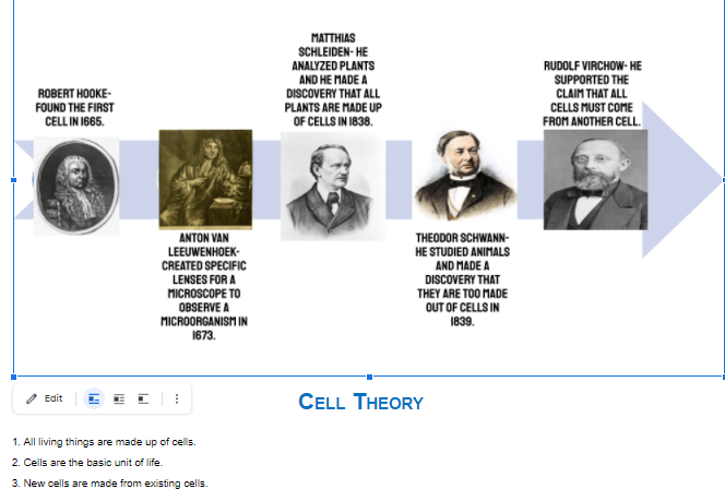 Cell Theory Timeline Famous Scientists Scientist Year Discovery Han ...