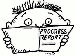 Progress Report