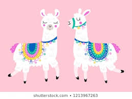 llama for joy 