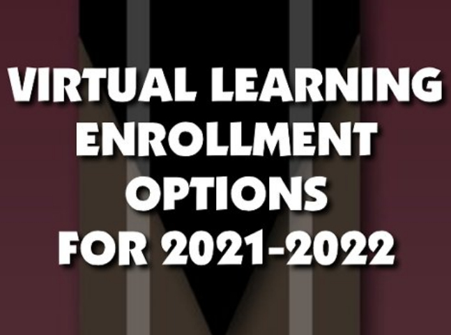 Virtual Learning Options